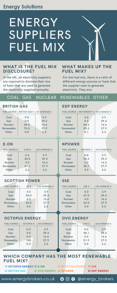 Fuel Mix Infographic